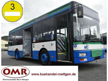 Градски автобус MAN A 76 / A 47 / A 66 / O 530 / Midi: снимка 1