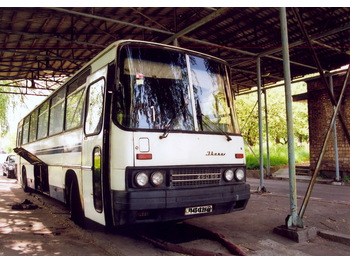 IKARUS 250.59 - Туристически автобус