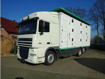 За превоз на животни камион DAF XF 105/460 SSC Menke 3 Stock Hubdach: снимка 1