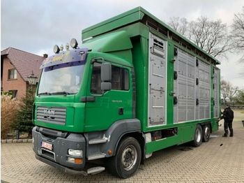 За превоз на животни камион MAN 26.350 LX Finkl 3 Stock Hubdach Lift: снимка 1