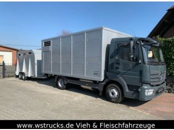 За превоз на животни камион За превоз на животни Mercedes-Benz 821L" Neu" WST Edition" Menke Einstock Vollalu: снимка 1