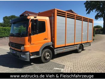 За превоз на животни камион За превоз на животни Mercedes-Benz 822 L  mit Eckstein Einstock: снимка 1
