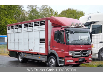 Mercedes-Benz Atego 1329  4x2  KA-BA Viehtransporter Großvieh  - За превоз на животни камион: снимка 1