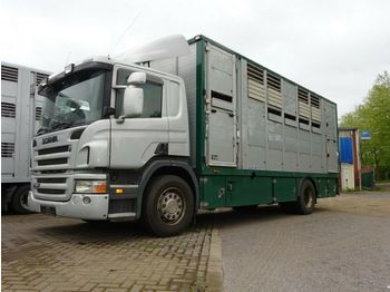За превоз на животни камион Scania P 380 mitt Menke Doppelstock: снимка 1