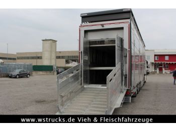 Pezzaioli 2 x SBA31-SR  3 Stock "Neu" Sofort  - За превоз на животни полуремарке